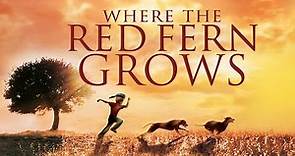 Where The Red Fern Grows - Full Movie | Family Drama | Great! Hope