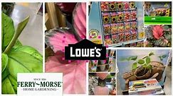 It’s Gold Baby! Snowy Day Shop Lowe’s Houseplants & Ferry~Morse®️Seed Starting Kits 🌱🪴