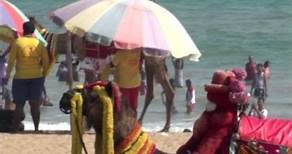Camel Safari on Puri Beach: What on earth are camels doing in Orissa?