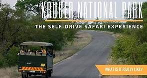 What It's Like to Safari at Kruger National Park in South Africa | A Travel Guide