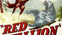 Watch| The Red Stallion Full Movie Online (1947) | [[Movies-HD]]