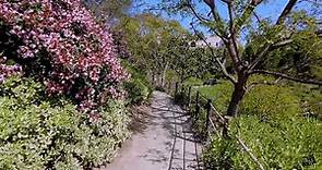 Japanese Friendship Garden - Balboa Park - San Diego, California - 4K Walking Tour