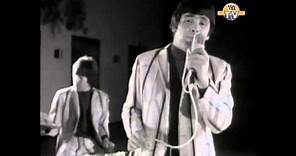 The Troggs - With A Girl Like You . HD