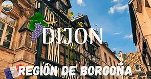 Dijon. Región de Borgoña. Guía de Francia #10