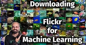 How to Download Flickr Images by Keyword for Machine Learning Projects with Python