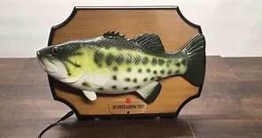 J.S.N.Y Big Mouth Rainbow Trout - Custom Plaque - Singing Fish