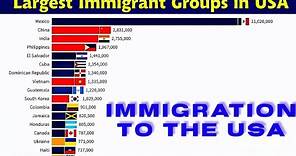 Largest immigrant groups in the USA over the past 200 years