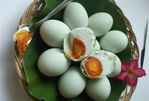 Telur Jepang sebagai Sumber Protein Bagi Tubuh