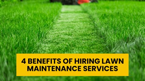 lawn maintenance benefits