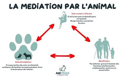 « RAISONNANCE » LA MÉDIATION PAR L’ANIMAL à Cléguérec