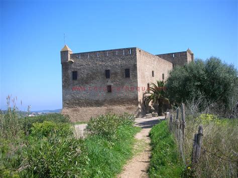 Église Saint Marcel - Ghjesgia San Marcellu à Aléria