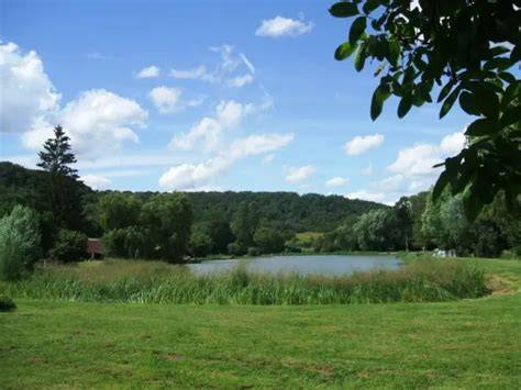 Étang à Courcelles
