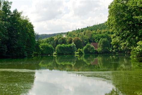 Étang de Saint-Louis-lès-Bitche à Saint-Louis-lès-Bitche