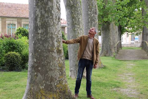 Ô Arbres etc... à Cozes