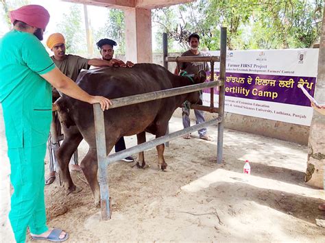 पशु चिकित्सा केंद्र