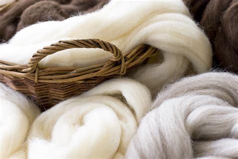Wool Production