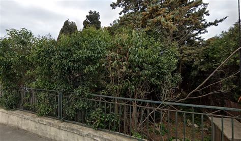 10000 Volpe à Frontignan