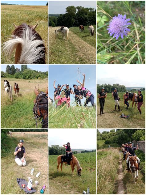 1001galops à Drocourt