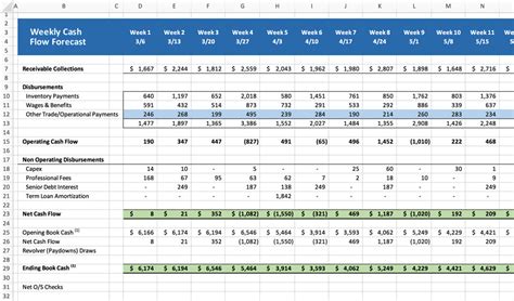 13 Week Cash Flow Template