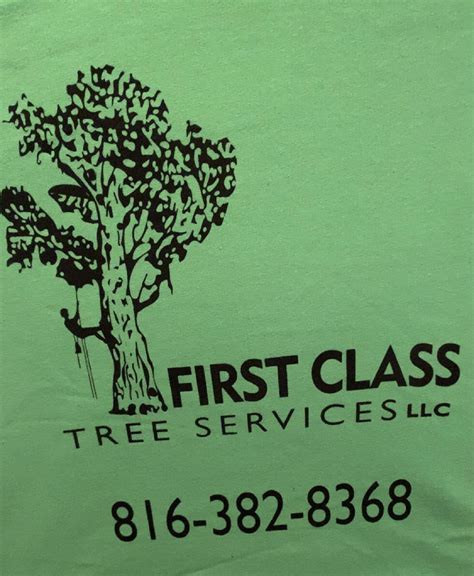 1st Class Tree Services