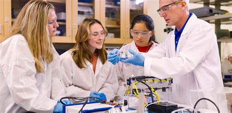 2016 Biomedical Engingeering Catalog Utk