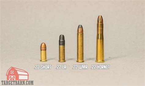 22 Ammo Size Chart