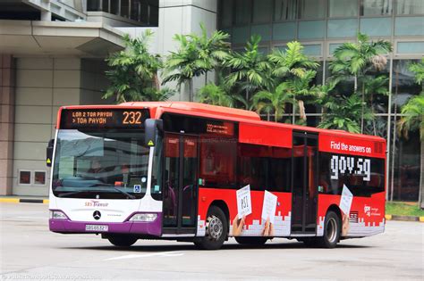 Bus SG