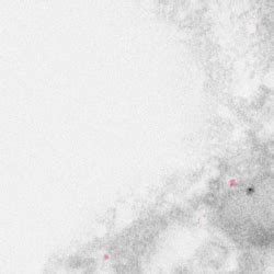 2dLife-Cycle à Caours