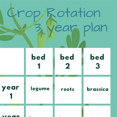 3 Year Crop Rotation Chart