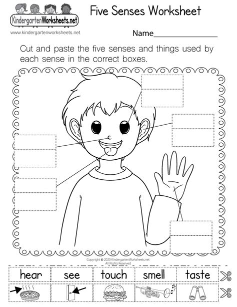 5 Senses Worksheet Free Printable