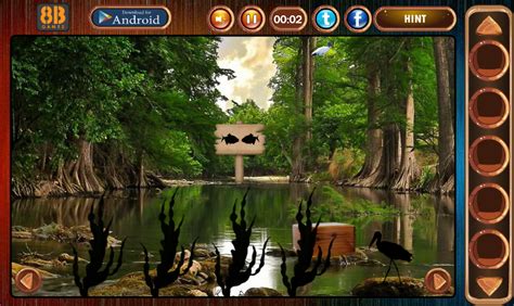 8bgames Swamp Forest Escape Walkthrough