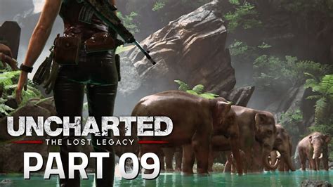 9 Elephants Walkthrough