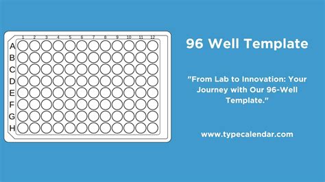 96 Well Plate Layout Template