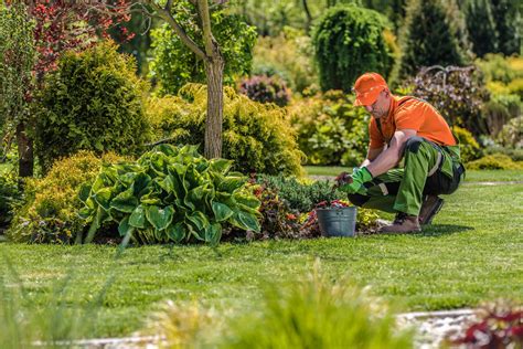 A/S Garden Maintenance & Landscaping Services