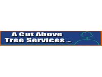 A Cut Above Tree Services Ltd