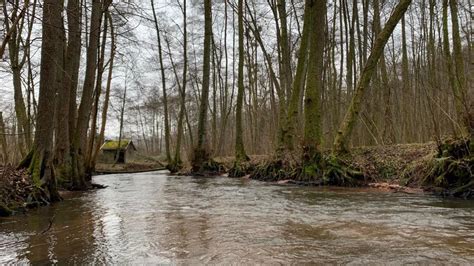 AAPPMA à Wissembourg