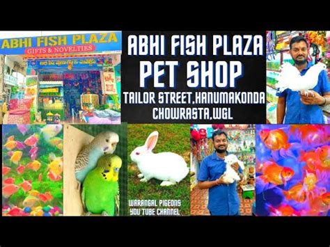 ABHI FISH PLAZA GIFTS AND NOVELTIES
