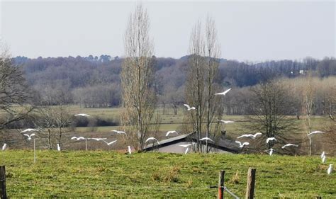 ADOUR SERVICES à Pey