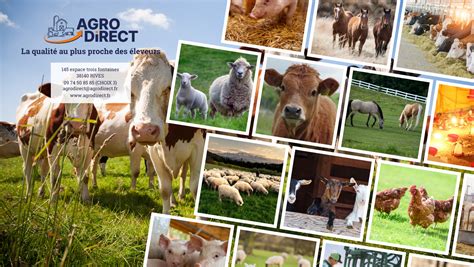 AGRO DIRECT à Rives