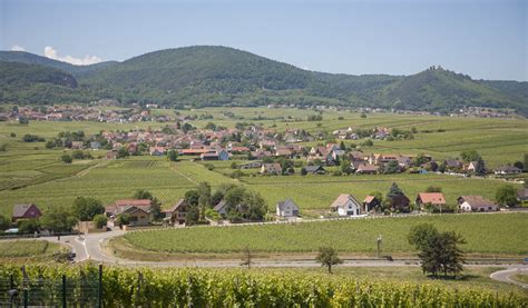 ALSACE APPRO à Pfaffenheim