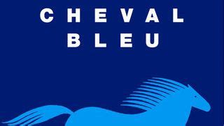 ASSOCIATION CHEVAL BLEU à Lichos