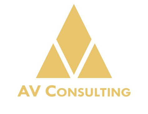 AV CONSULTING à Paris