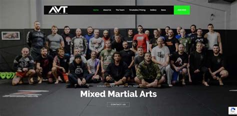AVT Mixed Martial Arts & Fitness