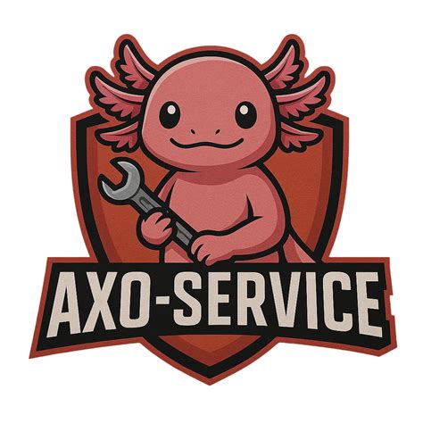 AXO SERVICE à Lille