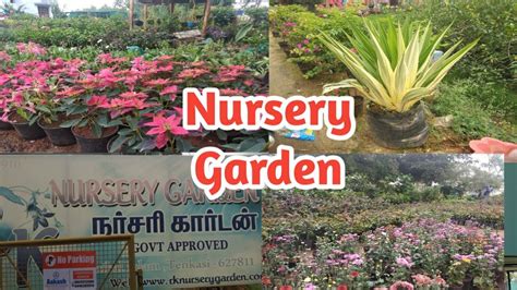 Aasai Nursery garden(Tenkasi)