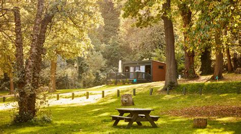 Abbey Wood Caravan and Motorhome Club Campsite
