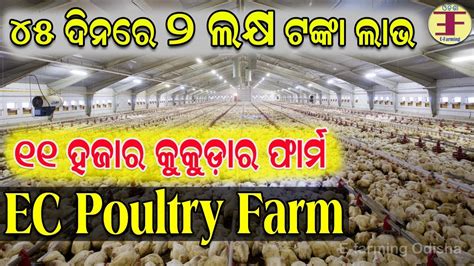 Abdul Poultry Farm