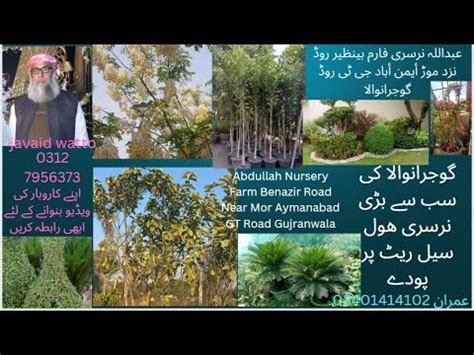 Abdullah Nursery Farm & Landscaping