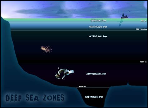 Zone Ocean