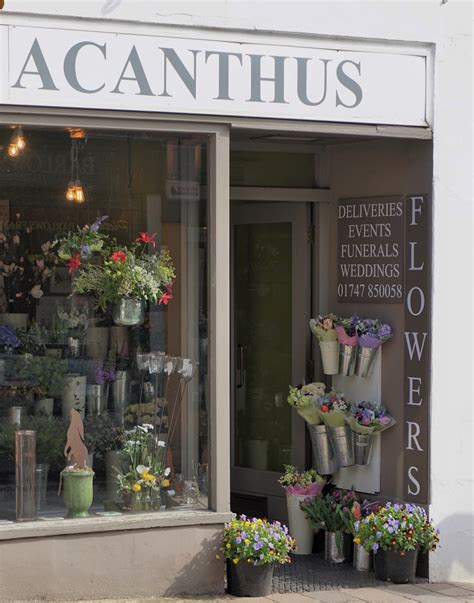 Acanthus Flowers and Home